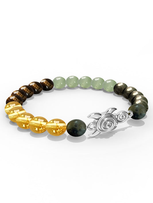 Sterling Silver Turtle Money Magnet Bracelet For Men