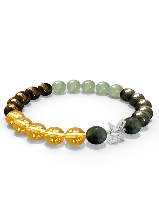 Sterling Silver Pisces Money Magnet Bracelet For Men