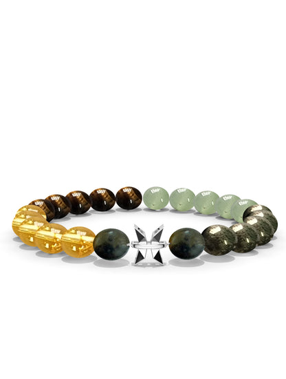 Sterling Silver Pisces Money Magnet Bracelet For Men